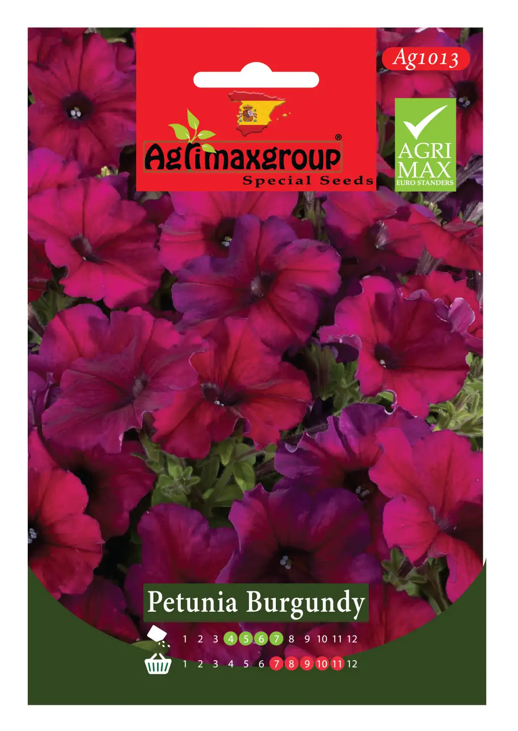 rich-burgundy-petunias-for-garden-elegance.webp Agrimaxgroup Petunia Burgundy Seeds (Ag1013) – Home Growing Seeds - Image 1