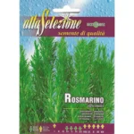 Rosmarino Officinalis (Rosemary) Home Growing Seeds