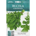 Hortus Rocket Seeds – Rucola Coltivata (Cultivated Arugula) – Home Growing Seeds