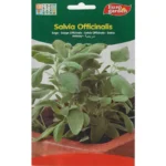 Salvia Officinalis Seeds – Grow Aromatic & Medicinal Sage – Home Growing Seeds