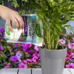 Garden Safe Slug & Snail Bait – Pet-Friendly Protection for Gardens – Plant Protection - Image 3