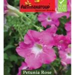 Agrimaxgroup Petunia Rose Seeds (Ag1016) – Home Growing Seeds