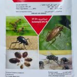 Acetamiprid 20% SP – Effective Pest Control Solution – Water Soluble Plant Food