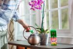 Miracle-Gro Water Soluble Orchid Food 30-10-10 – Water Soluble Plant Food - Image 3
