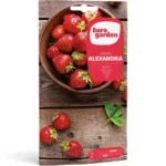 Euro Garden Strawberry (Freson Alexandria) Quality Home Growing Seeds