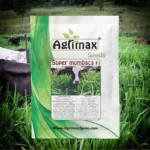 Super Mombaca F1 Hybrid Seeds – High-Yield Forage Grass – Home Growing Seeds