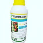 Thiamethoxam 25% WG – Insecticide for Crop Protection – Pest