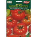 Tomato Marmande Seeds – Grow Juicy, Heirloom Tomatoes – Home Growing Seeds