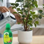 Vgrow Prime Liquid Plant Fertilizer – Liquid Plant Nutrition – 250ml - Image 4
