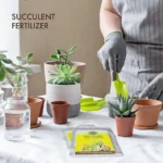 Vgrow Prime Succulent Plant Fertilizer – Controlled Release Granules – Granular Plant Nutrition - Image 4