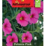 Agrimaxgroup Petunia Pink Seeds (Ag1014) – Home Growing Seeds