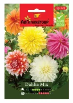 Agrimaxgroup Dahlia Mix Seeds (Ag1025) – Home Growing Seeds