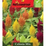 Agrimaxgroup Celosia Mix Seeds (Ag1024) – Home Growing Seeds