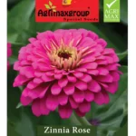 Agrimaxgroup Zinnia Rose Seeds (Ag1020) – Home Growing Seeds