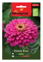 Agrimaxgroup Zinnia Rose Seeds (Ag1020) – Home Growing Seeds