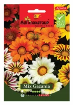 Agrimaxgroup Mix Gazania Seeds (Ag1028) – Vibrant Sun-Loving Flowers – Home Growing Seeds