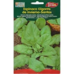 Euro Garden Espinaca Gigante de Invierno Santos Quality Spinach Home Growing Seeds