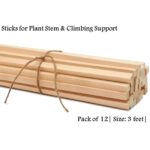 Pack of 12 Wooden Garden Sticks – Durable Plant Support Stakes – Garden Tool - Image 2