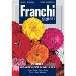 Franchi Zinnia Gigante – Dahlia-Flowered Vibrant Blooms – Home Growing Seeds