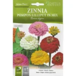 Zinnia Pompon Lilliput Mix Seeds – Colorful, Compact Blooms – Home Growing Seeds